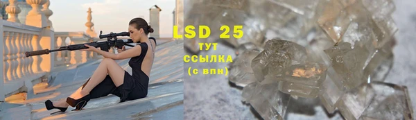 ГАЛЛЮЦИНОГЕННЫЕ ГРИБЫ Бугульма