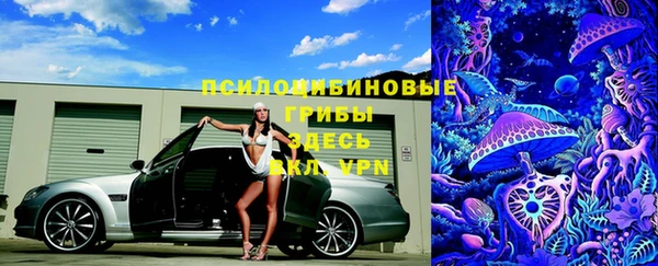 гидропоника Бронницы
