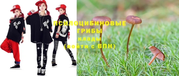 ГАЛЛЮЦИНОГЕННЫЕ ГРИБЫ Бугульма
